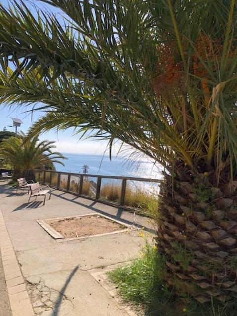 The Hollidays Apartment Calella Exterior foto